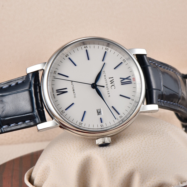 アイ・ダブリュー・シー側面デザイン